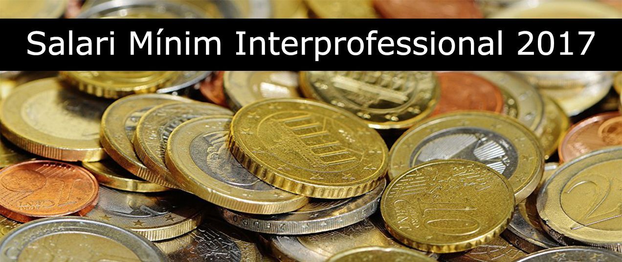 Aprovat el Salari Mínim Interprofessional per al 2017