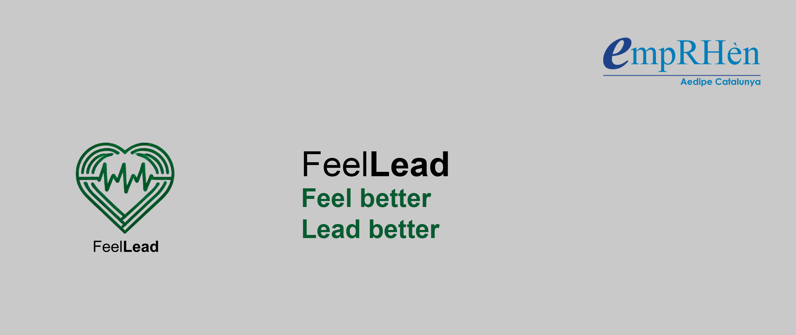 Feel Lead: la innovadora eina per a transformar el lideratge emocional